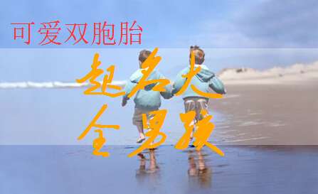 寶寶起名大全