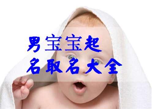 賈姓寶寶起名大全