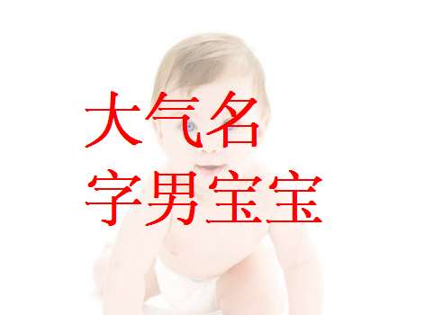 姓樊寶寶起名大全
