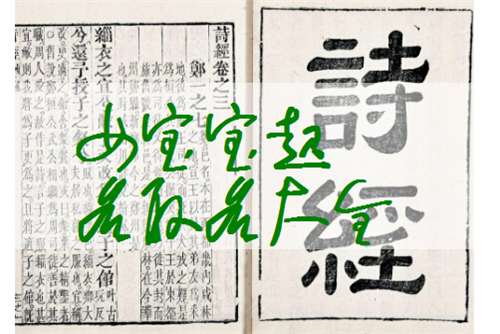 解姓寶寶起名大全