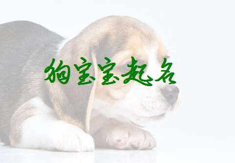 吉姓狗寶寶起名大全