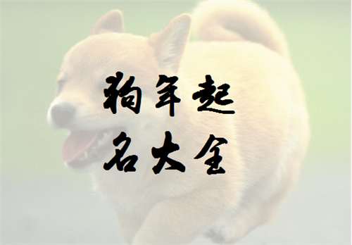 姓許寶寶八字起名大全