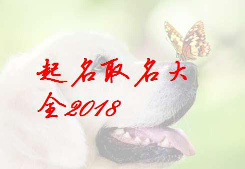 蕭姓狗寶寶起名大全