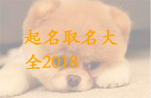 姓伍屬狗寶寶起名