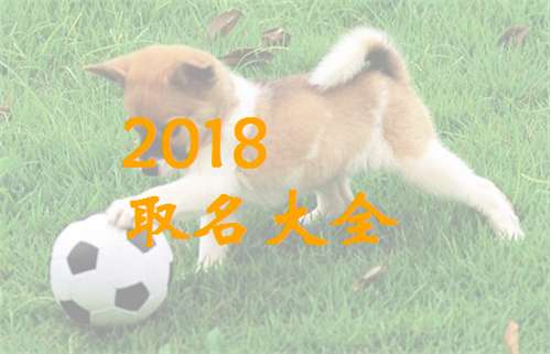 戴姓寶寶起名大全