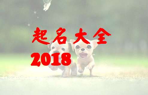 尉姓屬狗寶寶起名