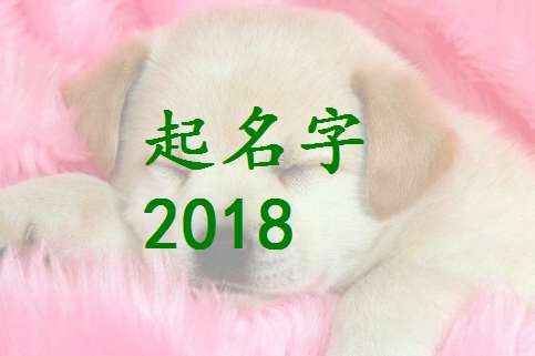 姓宋屬狗寶寶起名大全