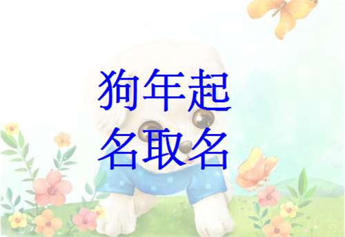 章姓狗寶寶起名大全