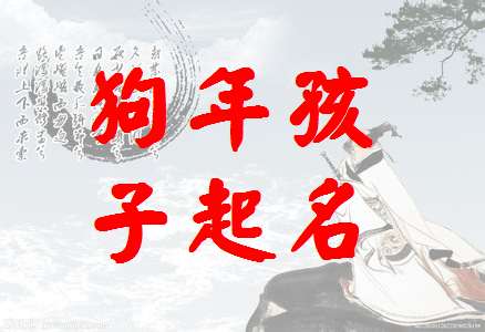 狗寶寶起名大全