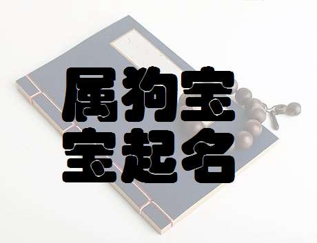 屬狗寶寶起名大全