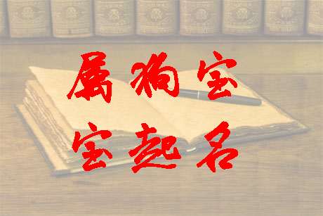 姓任屬狗寶寶起名大全