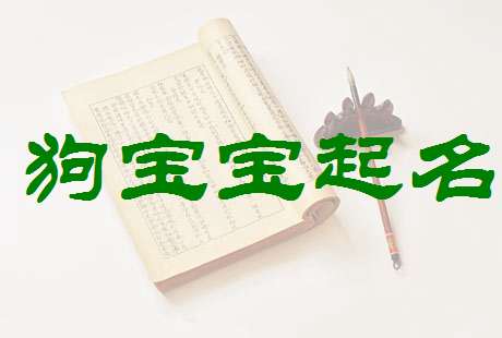 楊姓狗寶寶起名大全