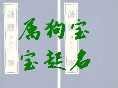 溫姓屬狗寶寶起名