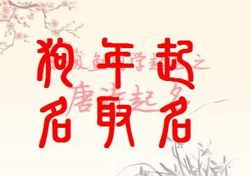 寶寶起名大全
