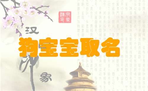 湯姓屬狗寶寶起名