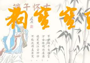 侯姓狗寶寶起名大全