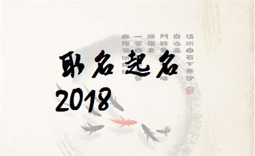 姓伍屬狗寶寶起名取名