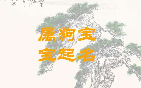 姬姓屬狗寶寶起名