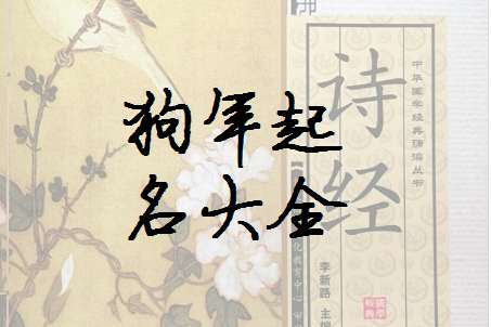 康姓狗寶寶起名大全