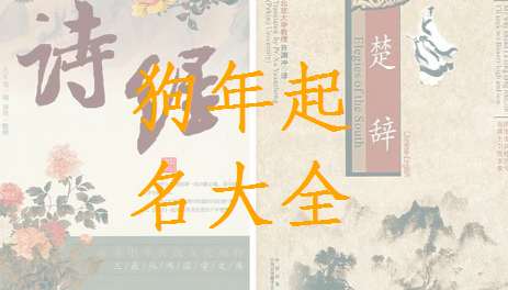 狗寶寶起名大全