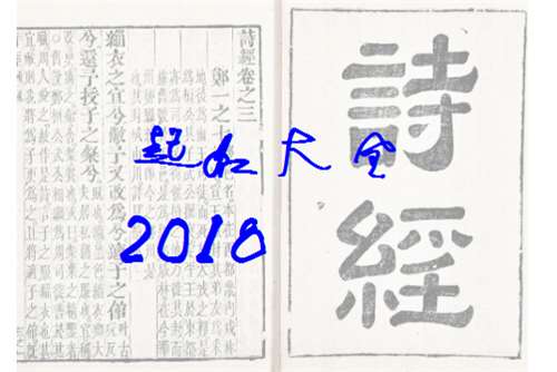 姓向屬狗寶寶起名