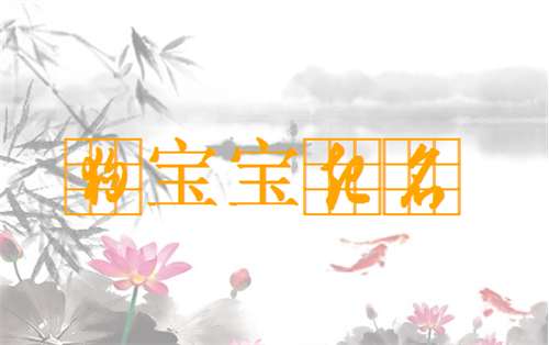 康姓狗寶寶起名大全