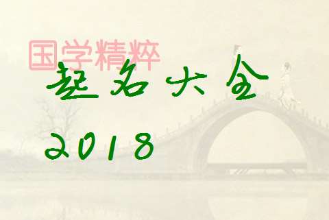 稅姓寶寶八字起名大全