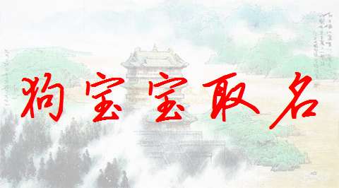 車姓屬狗寶寶起名