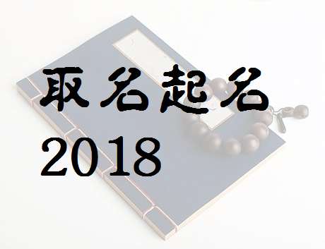 沈姓屬狗寶寶起名