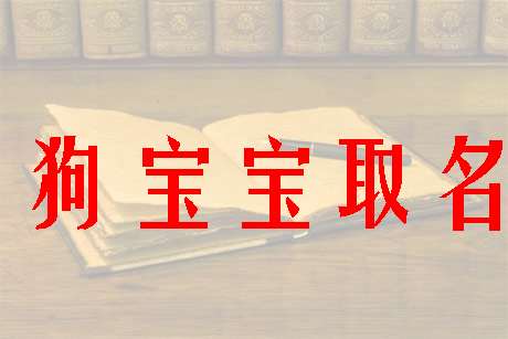 衛姓狗寶寶起名大全