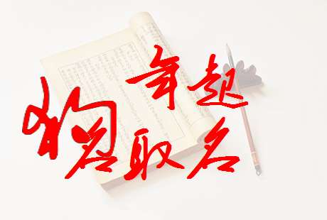 寶寶起名大全