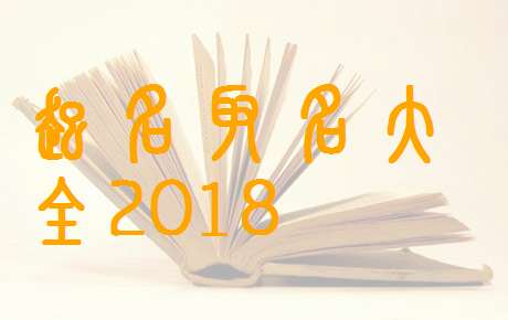 姓安寶寶八字起名大全