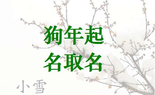 姓尚狗寶寶起名大全