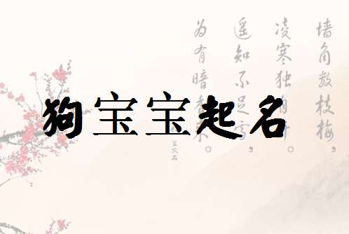 鞏姓狗寶寶起名大全