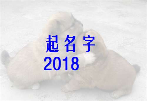 趙姓寶寶八字起名大全