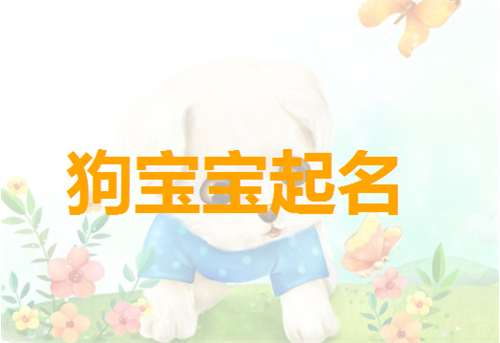 姓祝屬狗寶寶起名