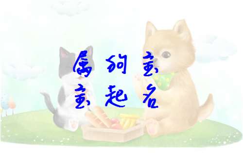 寇姓屬狗寶寶起名