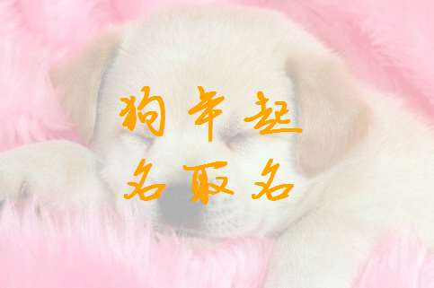 姓梁寶寶八字起名大全