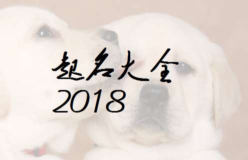 全姓寶寶八字起名大全