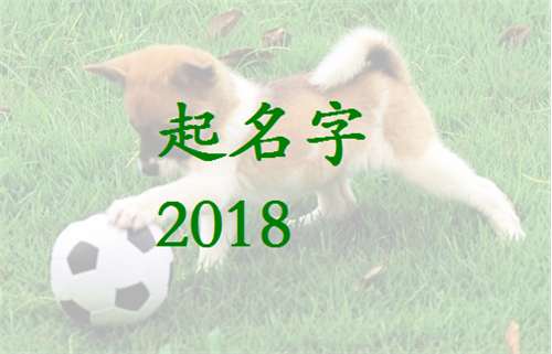 寶寶起名大全