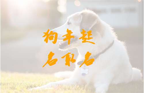 姓龔寶寶八字起名大全