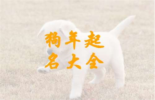 姬姓屬狗寶寶起名