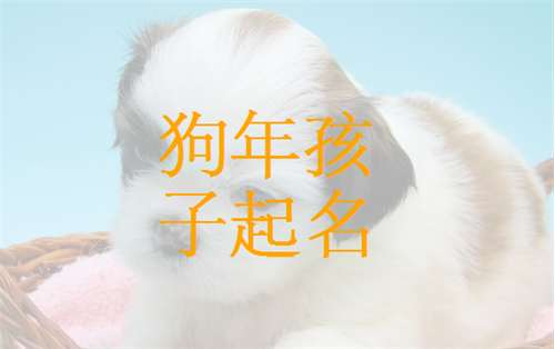 常姓屬狗寶寶起名取名