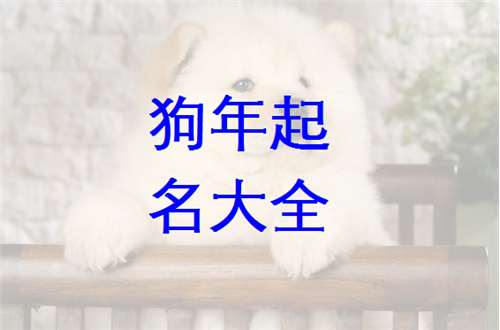 牟姓屬狗寶寶起名