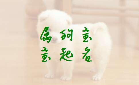 和姓寶寶八字起名大全