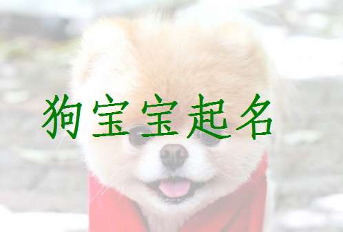 姓顧狗寶寶起名大全