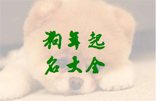 姓梁寶寶起名大全