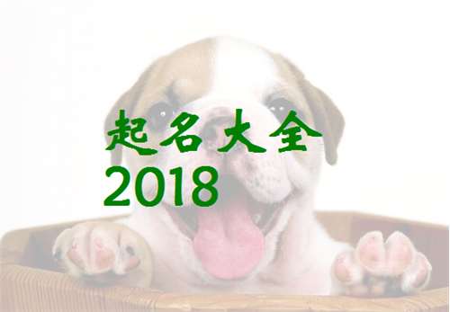 魯姓寶寶八字起名大全