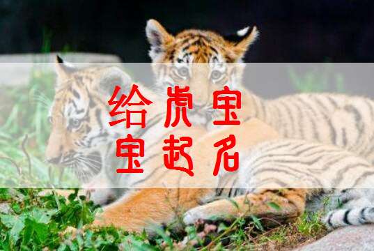 屬虎潘姓寶寶起名大全