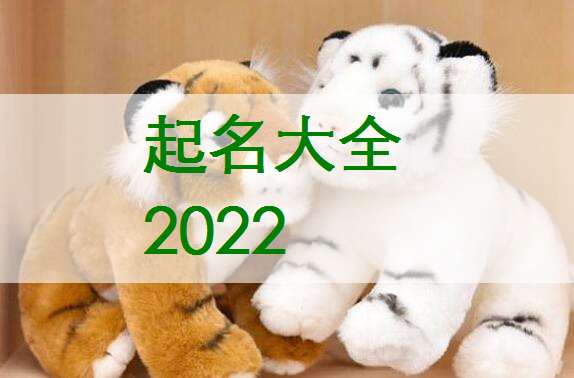 屬虎姓薛寶寶起名大全